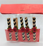 Decorative Clothespins Collection